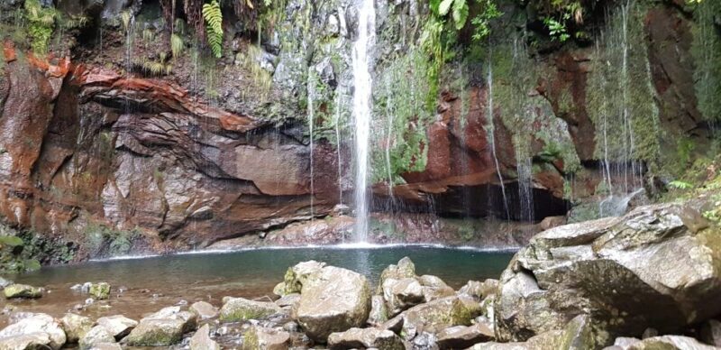 Madeira: Mountain Walk with Lagoon and Waterfalls - What This Tour Offers in Detail