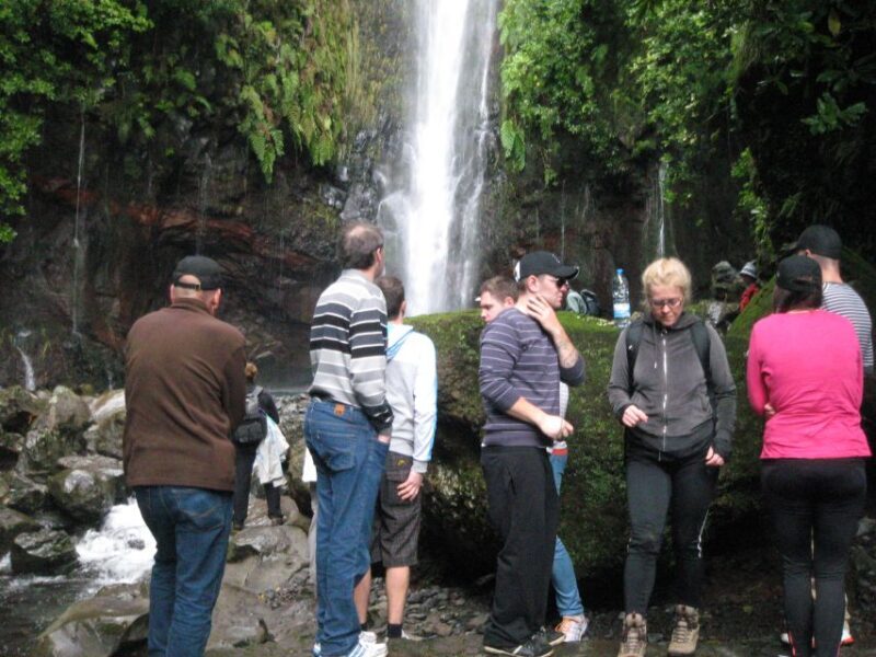 Madeira: Mountain Walk with Lagoon and Waterfalls - Who Is This Tour Best For?