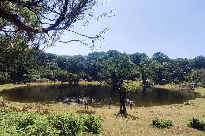 Madeira "Mystery Tour" - Full Day Private 4x4 Jeep - What to Expect from the Madeira "Mystery Tour"