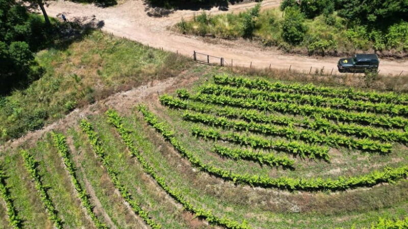 Madeira: Mystical 4WD Jeep Tour - Key Points