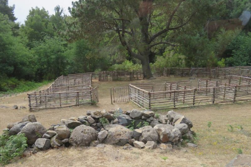 Madeira : Nun's Valleys and Pico Areeiro 4X4 Tour - Final Thoughts