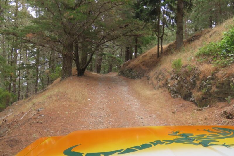 Madeira : Nun's Valleys and Pico Areeiro 4X4 Tour - FAQ