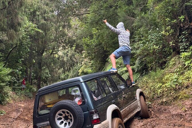 Madeira Off-Road 4x4 Jeep Adventure Private Full day Tour - Madeira Off-Road 4x4 Jeep Adventure Private Full Day Tour: A Honest Look