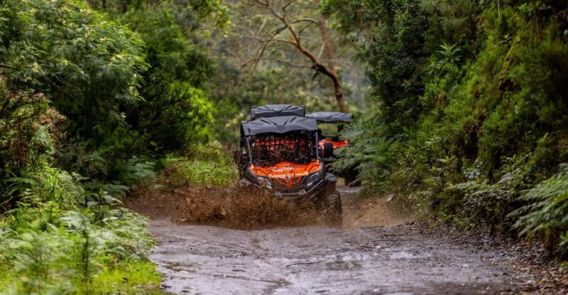 Madeira: OFF-ROAD BUGGY ADVENTURE TO FUNDURAS - Discovering Madeira’s Natural Beauty in an Off-Road Setting