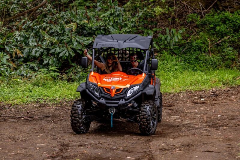 Madeira: OFF-ROAD BUGGY ADVENTURE TO FUNDURAS - Final Thoughts: Who Should Book This?