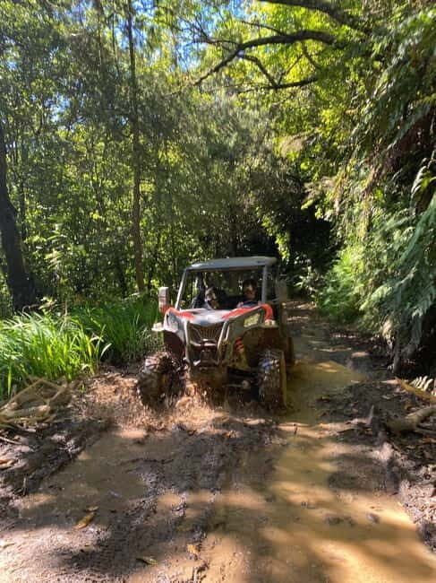 Madeira: Off-Road Buggy Driving Experience - Key Points