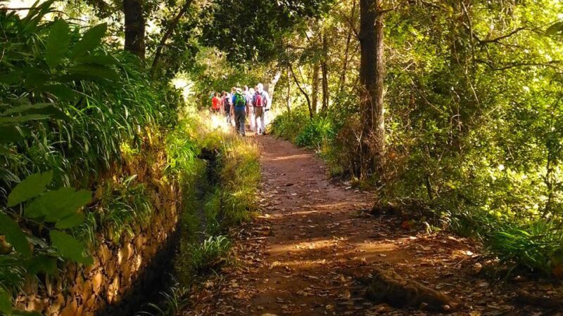 Madeira: Paradise Valley Levada Walk - What is the Madeira Paradise Valley Levada Walk?
