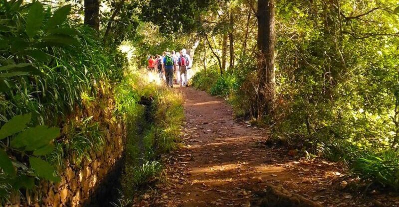 Madeira: Paradise Valley Levada Walk - Pricing and Value