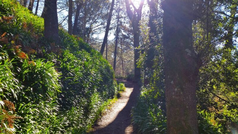 Madeira: Paradise Valley Levada Walk - Final thoughts