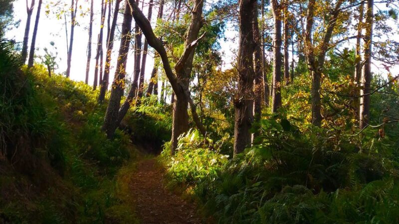 Madeira: Paradise Valley Levada Walk - FAQ