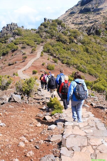 Madeira: Pico Arieiro to Pico Ruivo Hike - Transport and Logistics
