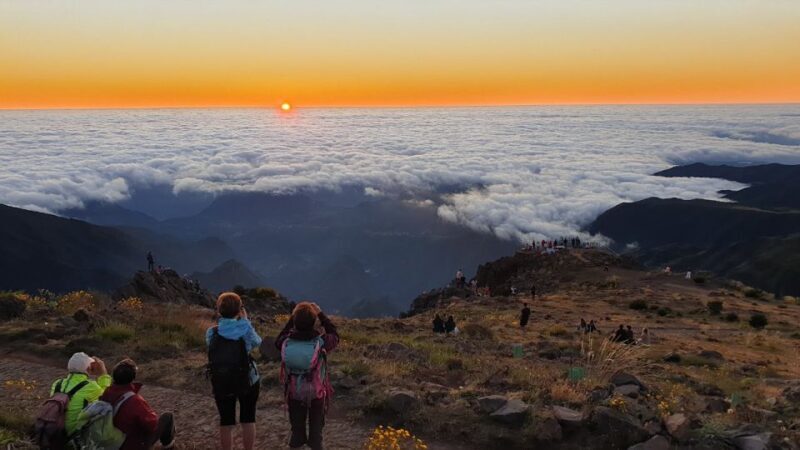 Madeira: Pico do Areeiro Sunrise Tour - Pricing and Value