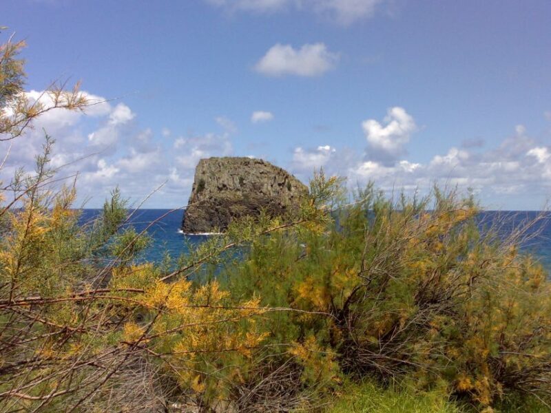 Madeira: Pico do Arieiro & Laurissilva Forest - East tour - The reviews tell it all