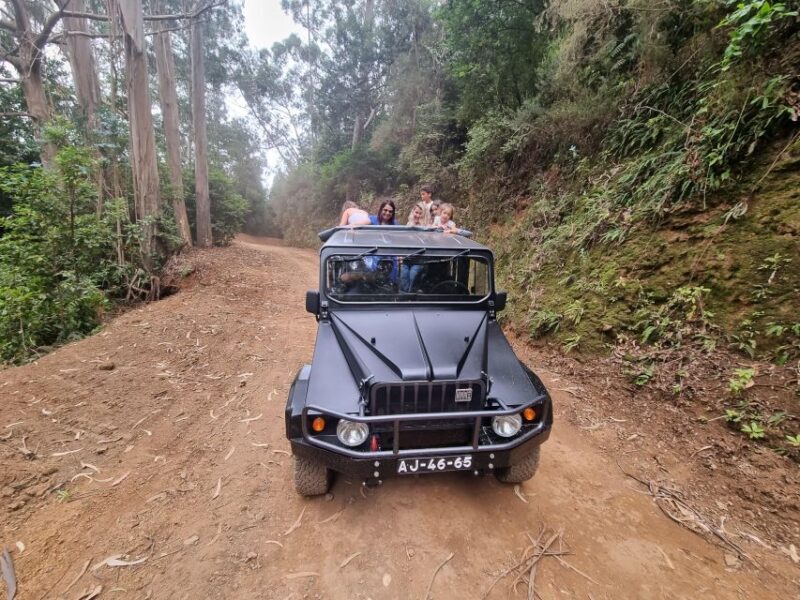 Madeira: Picturesque Peaks and Skywalk private 4x4 Jeep tour - What Makes This Tour Stand Out?