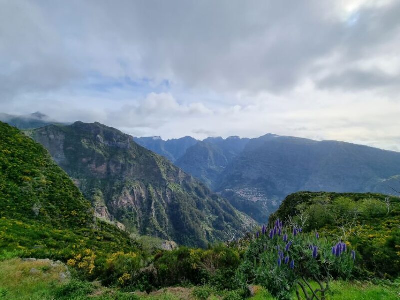Madeira: Picturesque Peaks and Skywalk private 4x4 Jeep tour - FAQ