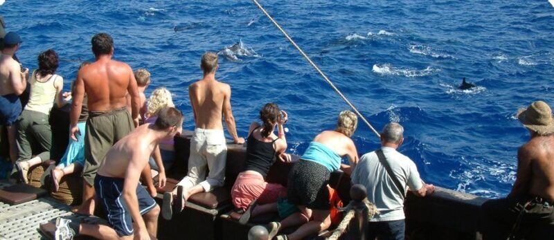 Madeira Pirate Ship: 3-Hour Boat Trip - Why the Madeira Pirate Ship Tour Stands Out