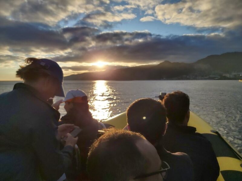 Madeira: Ponta de São Lourenço Lighthouse Boat Tour - Who Is This Tour Best For?
