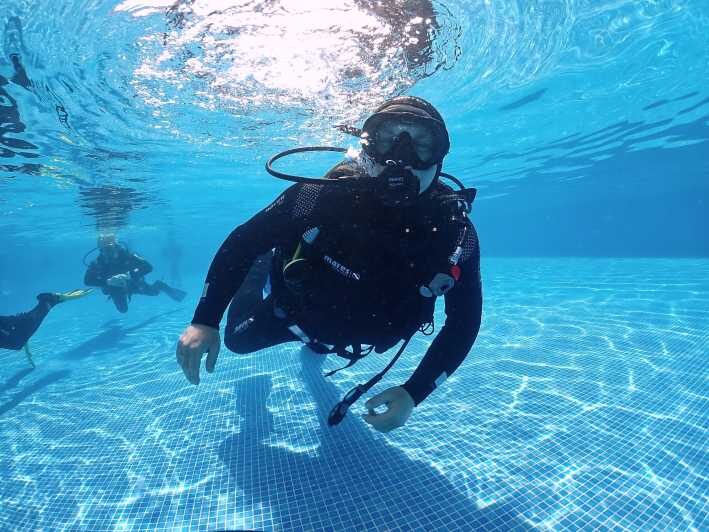 Madeira, Ponta São Lourenço: Scuba Diving for Beginners - Key Points