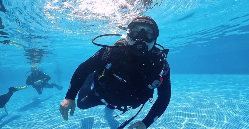 Madeira, Ponta São Lourenço: Scuba Diving for Beginners - Price and Value Analysis