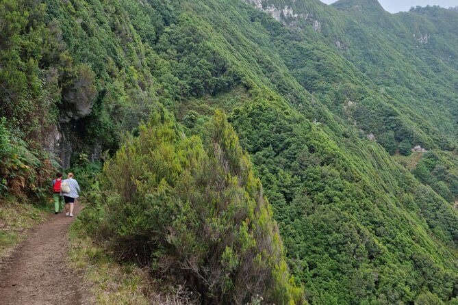 Madeira Porto da Cruz to Machico Self Hiking Tour with Transfer - Who Should Consider This Tour?