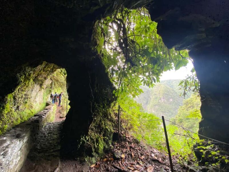 Madeira: PR 9 - Levada do Caldeirão Verde Hike Transfer - Who Is This Tour Best For?