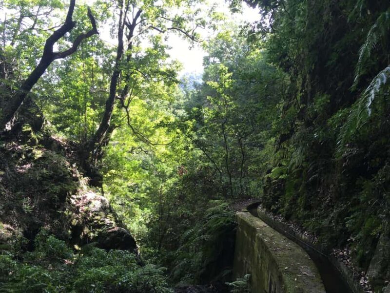 Madeira: PR 9 - Levada do Caldeirão Verde Hike Transfer - Frequently Asked Questions