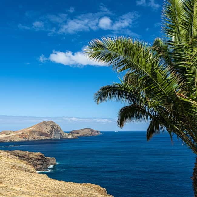 Madeira: PR8 -Ponta de São Lourenço Natural Reserve Transfer - Introduction to the Experience