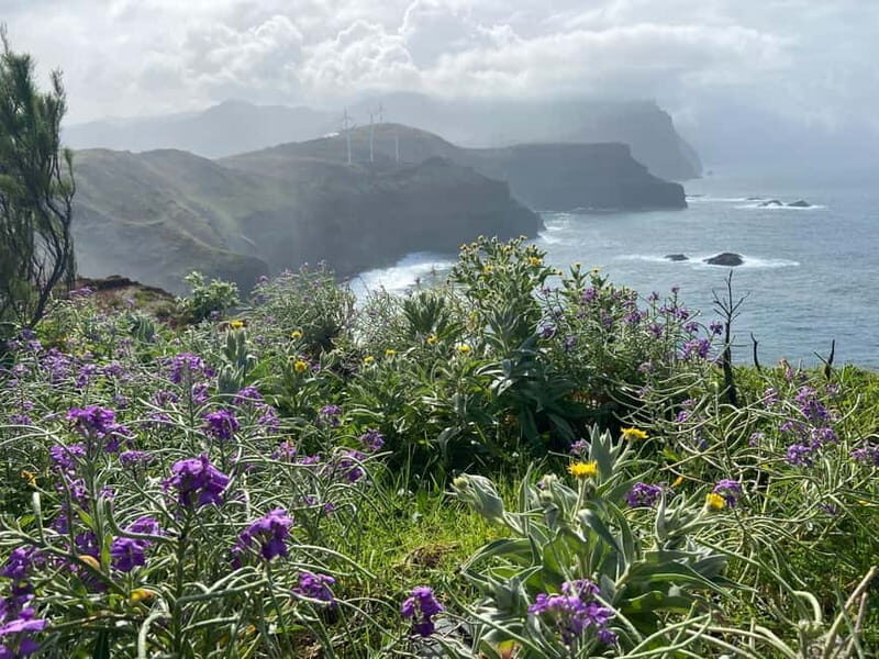 Madeira: PR8 -Ponta de São Lourenço Natural Reserve Transfer - Frequently Asked Questions