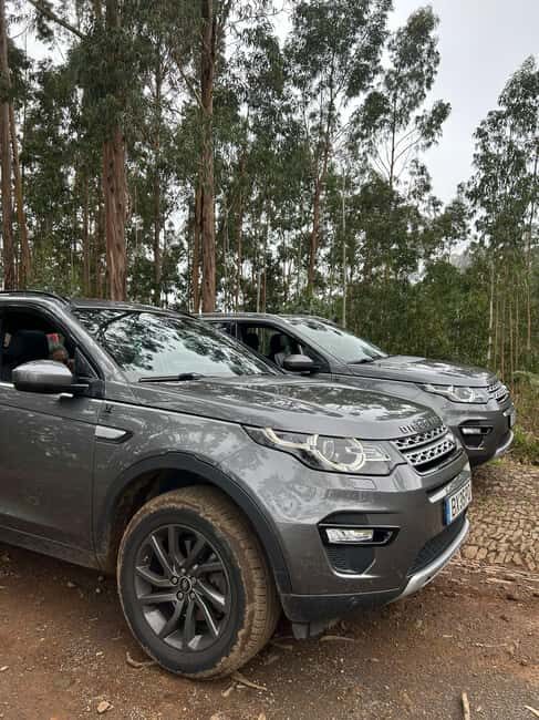 Madeira: Premium 4x4 Adventure Tour - Pricing & Value