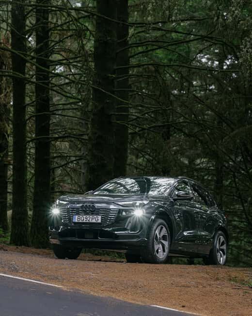 Madeira: Premium All-inclusive Eco Tour - An In-Depth Look at the Madeira Eco Tour Experience