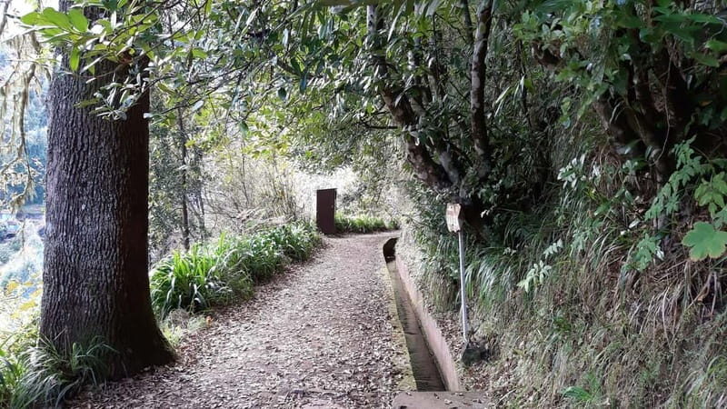 Madeira: Private 1.5-Kilometer Levada dos Balcões Hike PR11 - FAQs