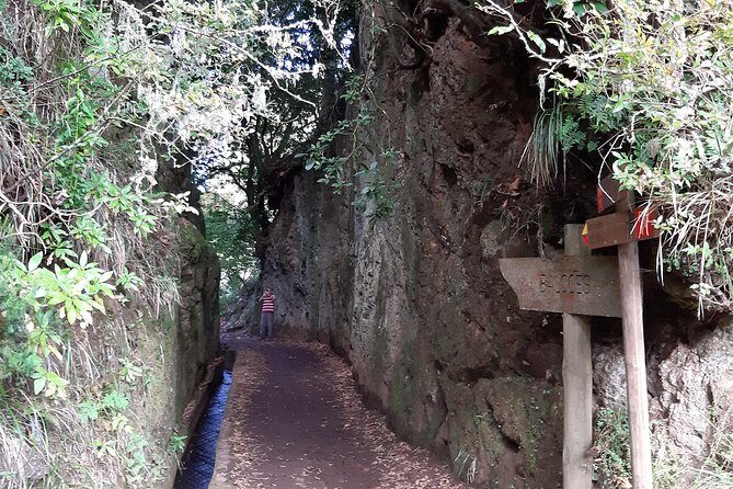 Madeira: Private 1.5-Kilometer Levada dos Balcões Hike PR11 - Practical Details to Keep in Mind