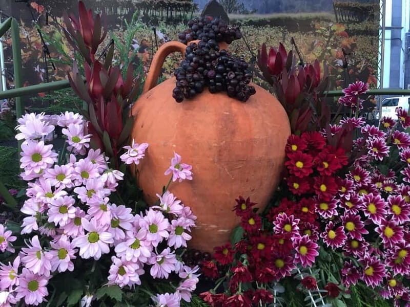 Madeira Private 4-Seater Mercedes VIP - Key Points