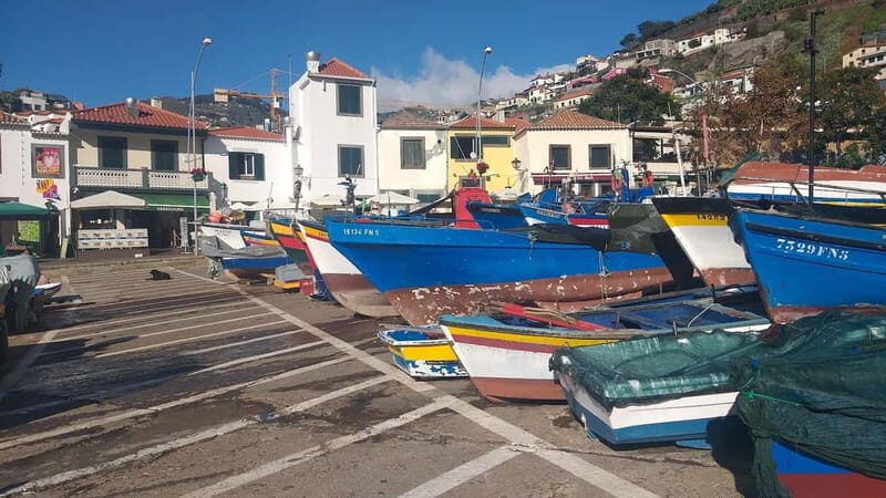 Madeira Private 4-Seater Mercedes VIP - Who Should Consider This Tour?