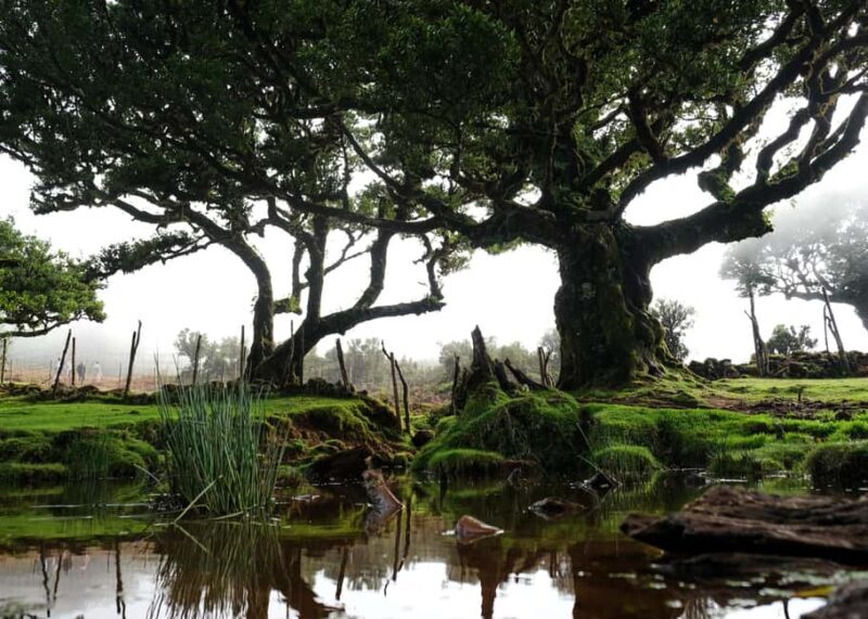 Madeira: PRIVATE 4x4 Jeep Tour - FAQ