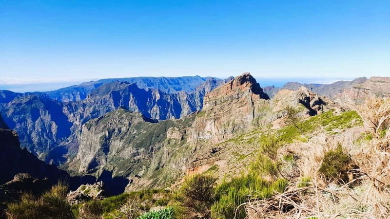 Madeira: Private 4x4 Nature Tour with Guide - The Practical Side: Timing, Group Size, and Pricing