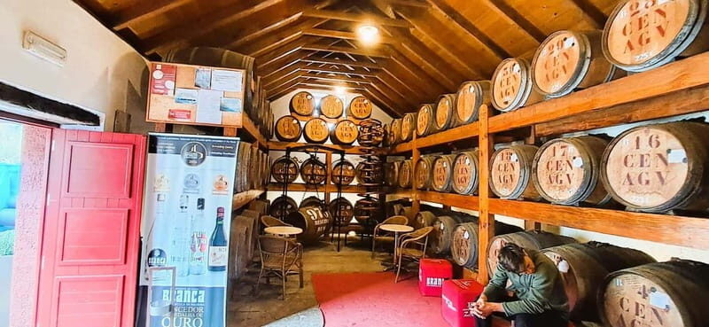 Madeira: Private 4x4 Nature Tour with Guide - Who Is This Tour Best For?