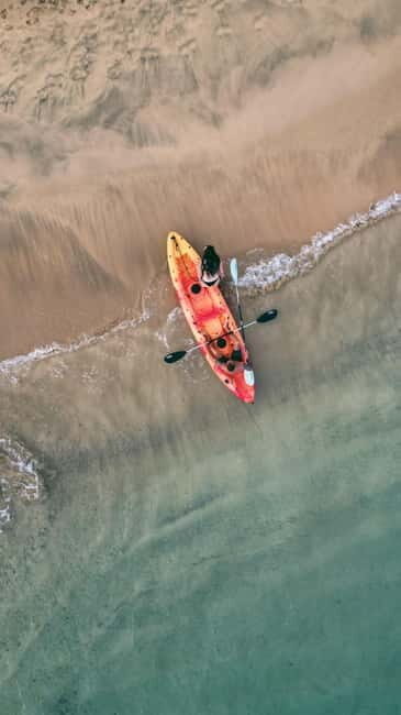 Madeira Private Catamaran Tour in Ponta de Sao Lourenço - A Closer Look at the Experience