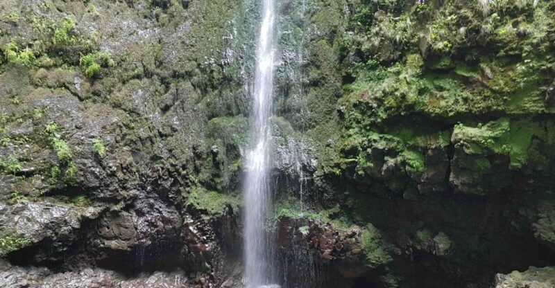 Madeira: Private Guided Levada Caldeirão Verde Walk PR9 - What is the Tour All About?