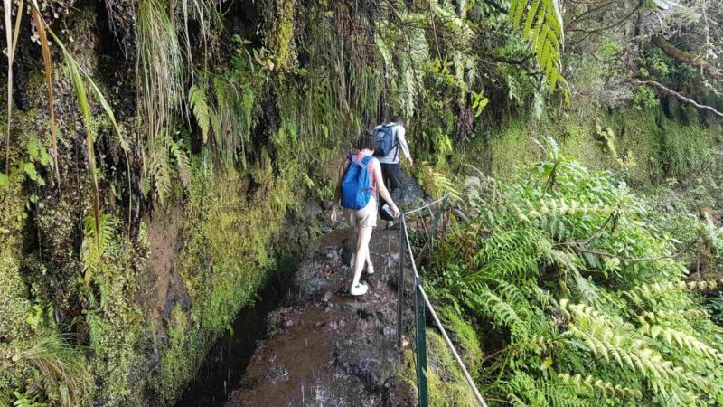 Madeira: Private Guided Levada Caldeirão Verde Walk PR9 - The Guides and Their Role