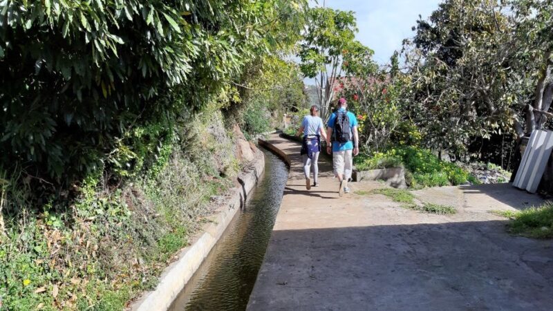 Madeira: Private Guided Levada do Norte Walk - The Value of the Experience