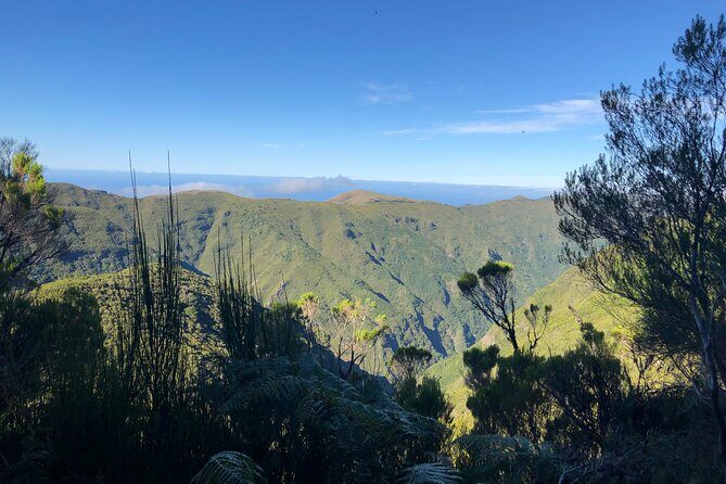 Madeira: Private Guided Walk Vereda Fanal PR13 - An Honest Look at the Vereda Fanal PR13 Tour