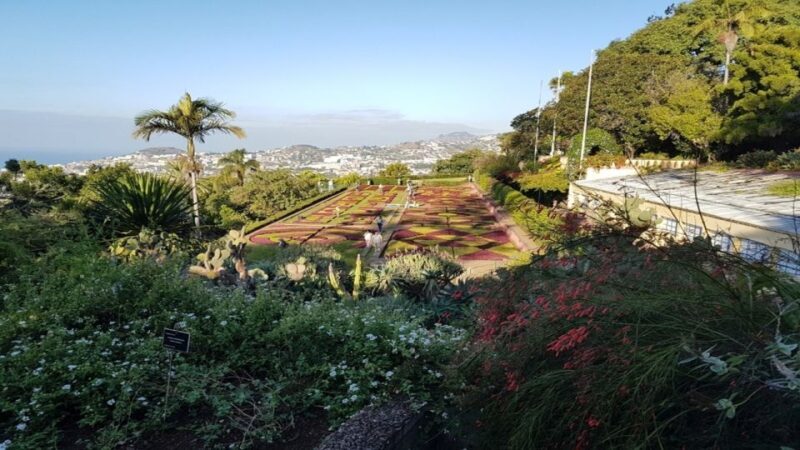 Madeira: Private Half-Day Guided Gardens Tour - FAQ