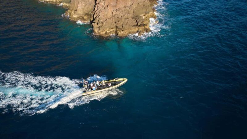Madeira: Private Hike and Boat Experience with Lunch - The Sum Up