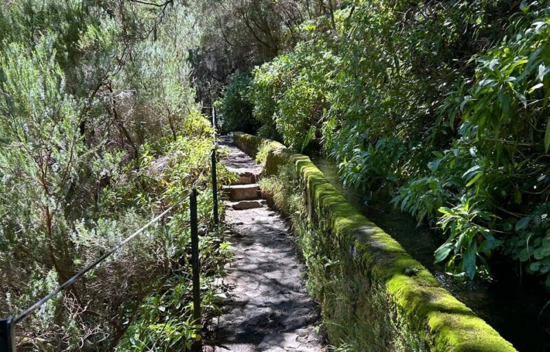 Madeira: Private Levada/Hike Experience with a Local Guide - What’s Included and What to Bring