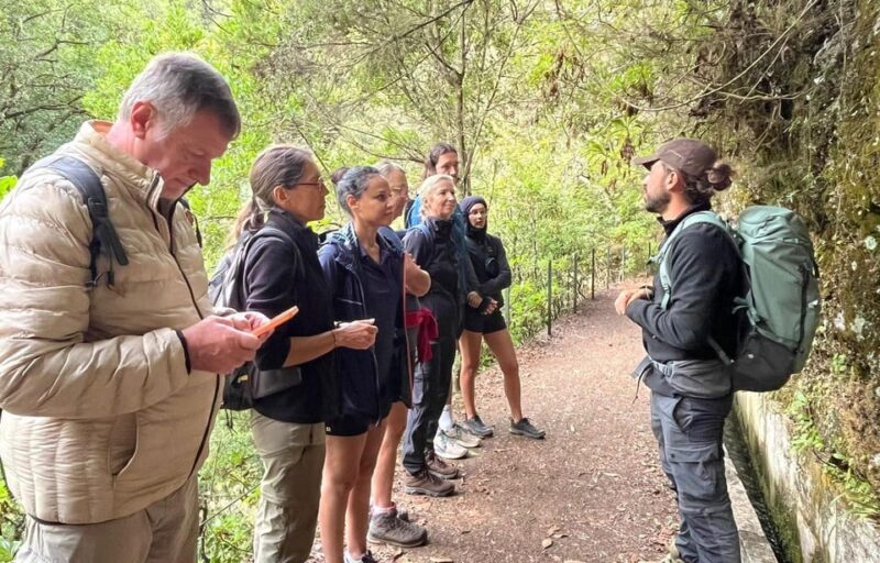 Madeira: Private Levada/Hike Experience with a Local Guide - The Real Value of This Tour