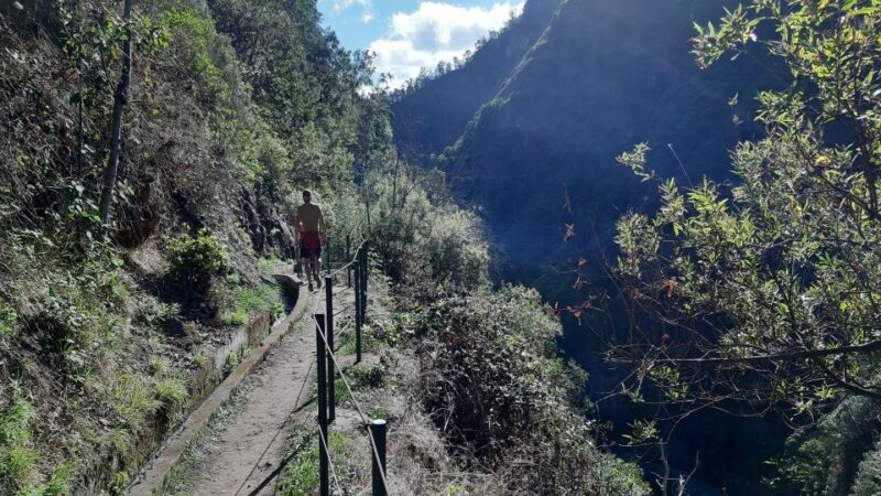 Madeira: Private Moinhos Levada Nova Walk Ponta do Sol - What to Expect on Your Levada Nova Walk