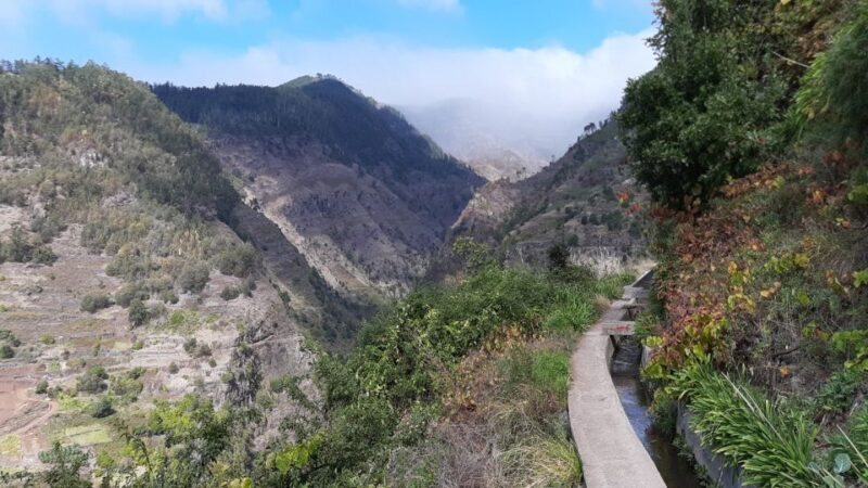 Madeira: Private Moinhos Levada Nova Walk Ponta do Sol - Who Is This Tour Best For?