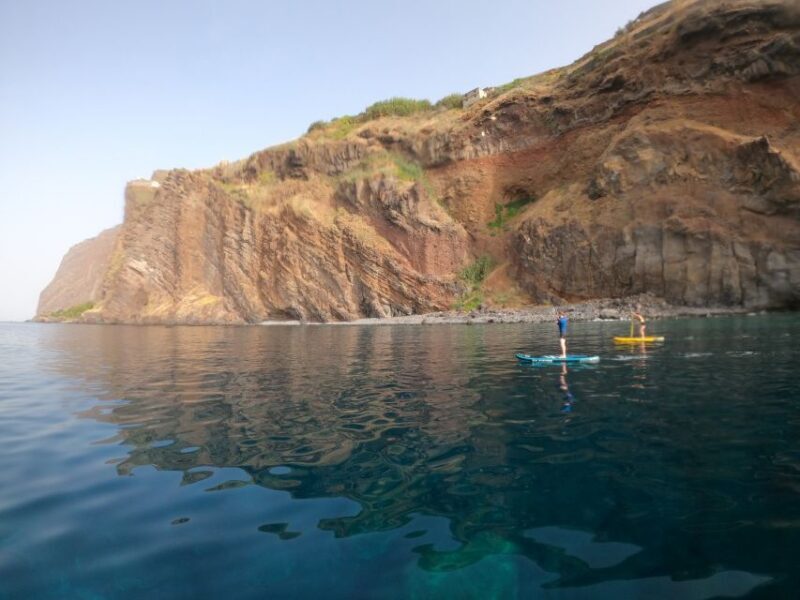 Madeira: Private Paddleboard & Snorkel - Who Will Love This Tour?