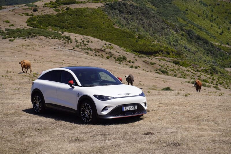 Madeira Private Premium Eco-Friendly Tour in Electric Car - Pricing and Value